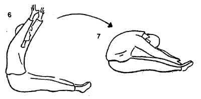 healthy excercise